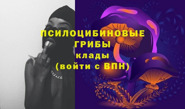 Альфа ПВП Болохово