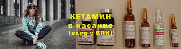 прущие грибы Болотное