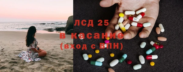сатива Беломорск