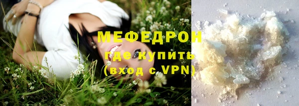 сатива Беломорск