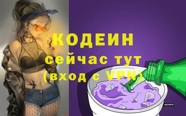 сатива Беломорск