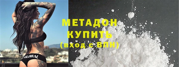 сатива Беломорск