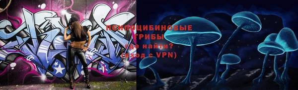 кокаин Белокуриха