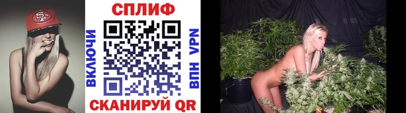 блэк спрут зеркало  Бирюсинск  Марихуана Amnesia 
